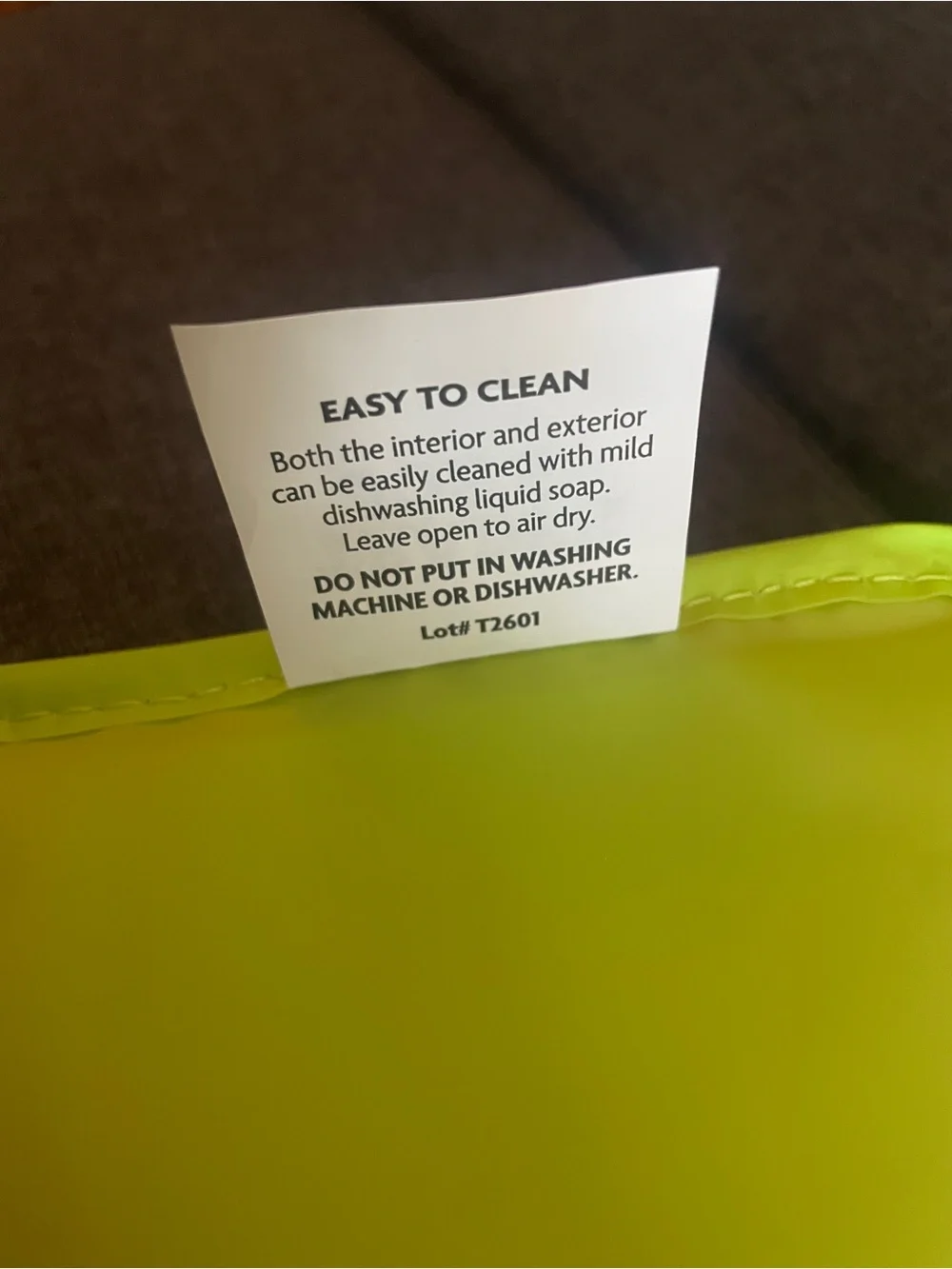 NWT Trader Joe's Mini Insulated Bag in orange and green color